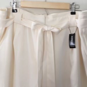 EXPRESS PLUS SIZE DRESS SLACKS